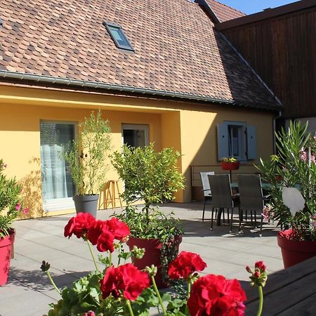 Gite Le Cep D'Or Alsace Сент-Ипполит Экстерьер фото